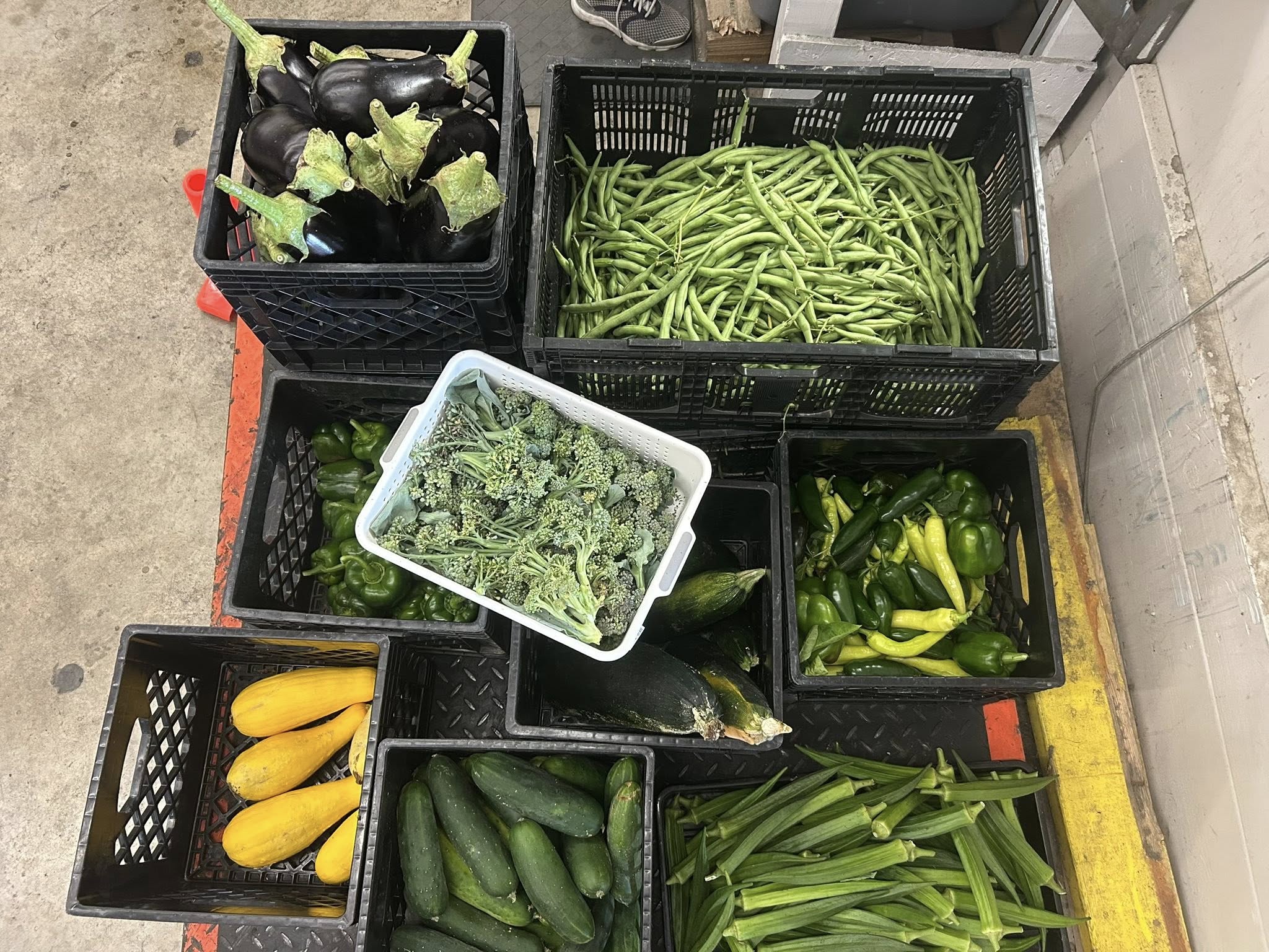 We broke our record!